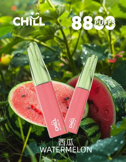 001-01.webp CHILL 鴨嘴獸 8800 口 | 優化進氣氣流呈現綿密霧感體驗 | 高相容電芯設計提升擊喉層次感