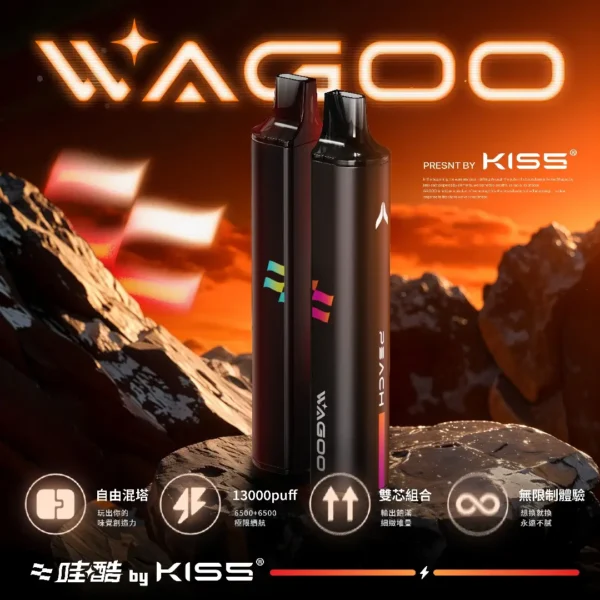 WAGOO 哇酷 KIS5 拋棄式電子煙5000口｜繚繞霧化細緻呈現飽滿層次｜大容量具備Type-C快充設計
