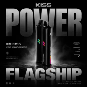 WAGOO 哇酷 KIS5 拋棄式電子煙5000口｜繚繞霧化細緻呈現飽滿層次｜大容量具備Type-C快充設計