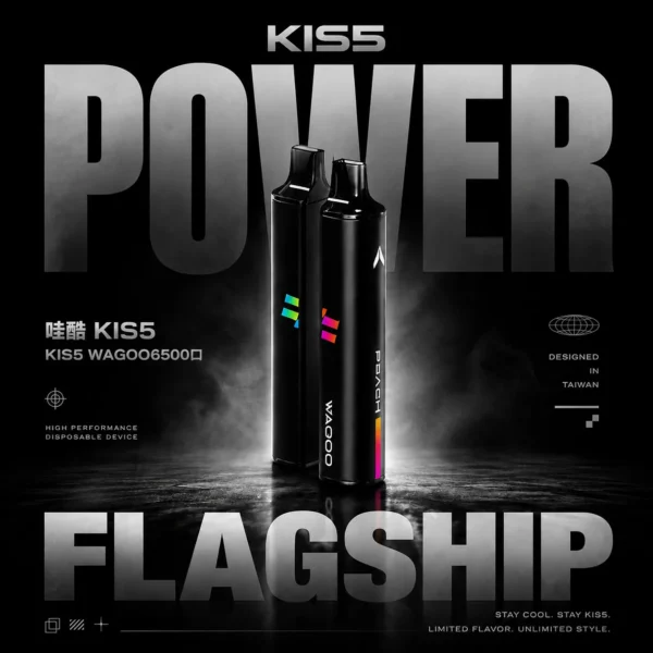 WAGOO 哇酷 KIS5 拋棄式電子煙5000口｜繚繞霧化細緻呈現飽滿層次｜大容量具備Type-C快充設計