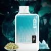 SP2S思博瑞 GEM9000電子煙｜扎實擊喉感與細緻煙霧體驗｜大容量油艙搭配電量顯示面板