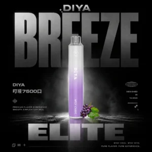 DIYA 叮啞 7500 拋棄式電子煙｜溫潤霧態平衡捕捉細微氣息｜支援快速回充效能兼顧續航